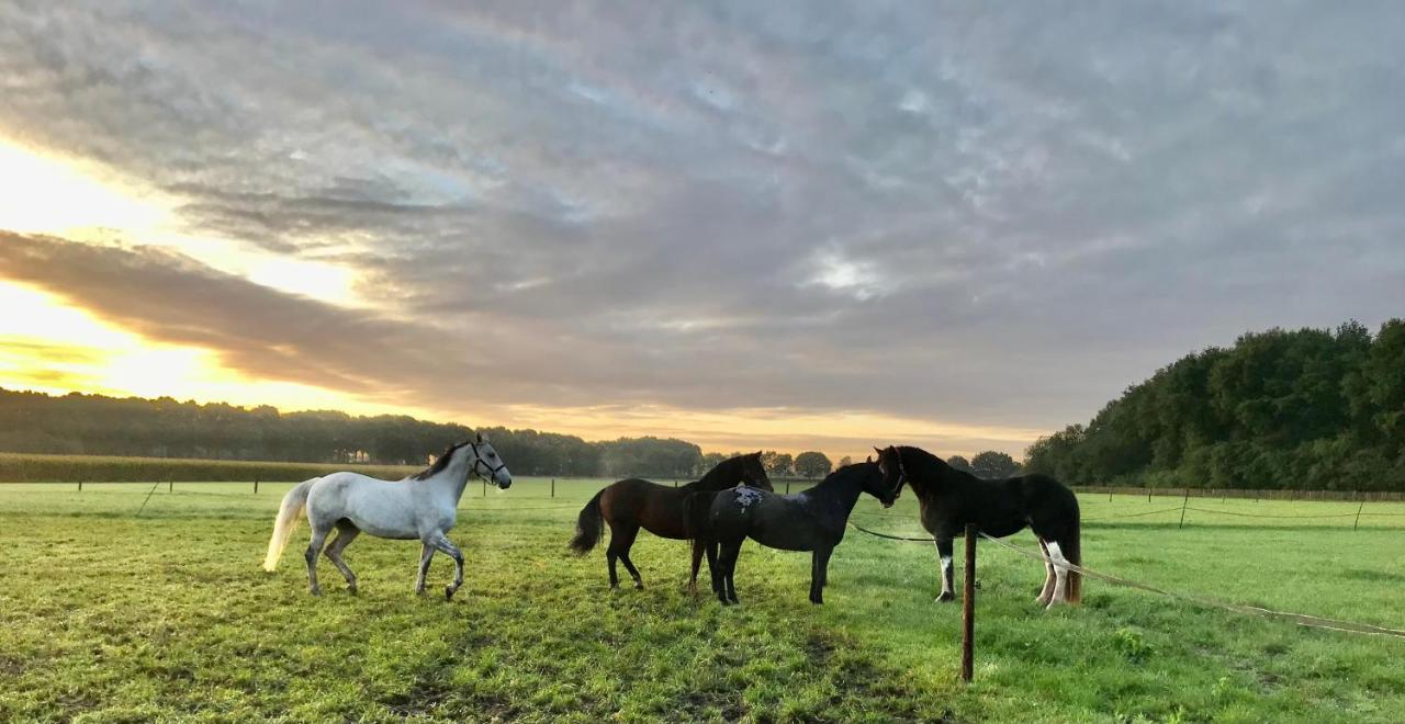 'T Heidepaleis Bed & Breakfast Garderen Exterior foto